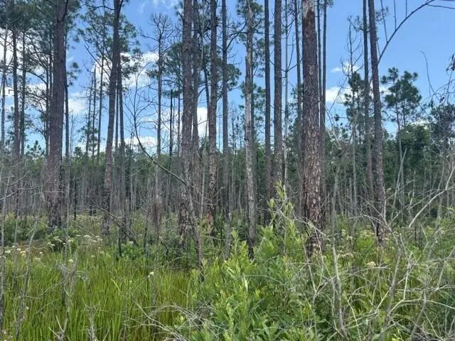 2 of 7 - 0 Holopaw Groves Road, St. Cloud, FL