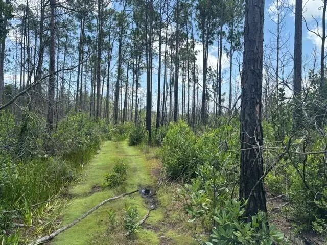 3 of 7 - 0 Holopaw Groves Road, St. Cloud, FL
