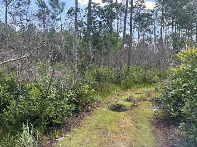5 of 7 - 0 Holopaw Groves Road, St. Cloud, FL