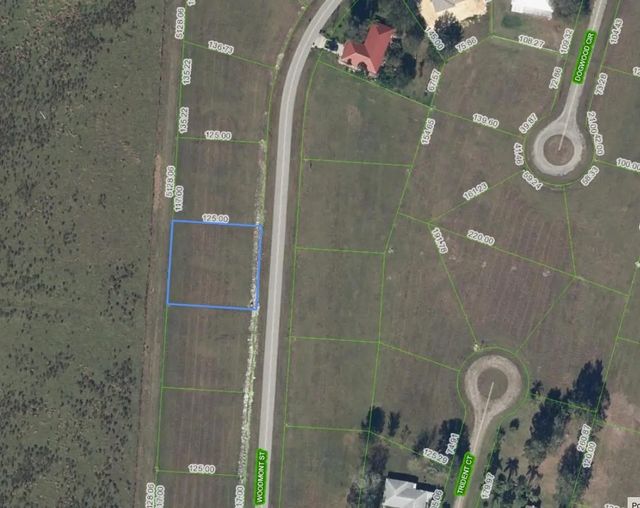 816 Woodmont Street, Sebring