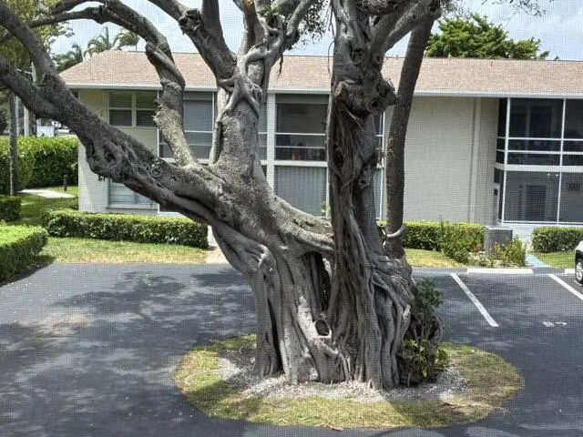 620 Horizon W #202, Boynton Beach