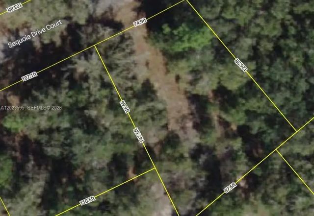 Lot 14 Lot 14 Sequoia Drive Court, Ocala
