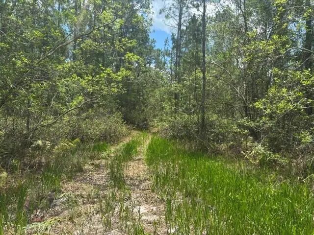 0 Water  Road, Clermont