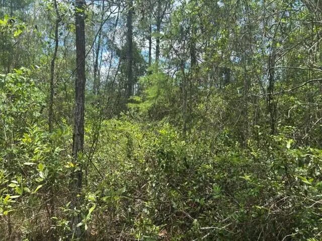 2 of 3 - 0 Water  Road, Clermont, FL