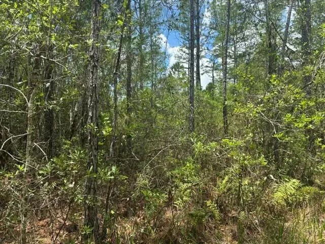 3 of 3 - 0 Water  Road, Clermont, FL