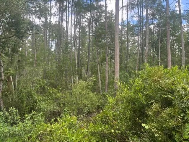 2 of 4 - 0 Water Road, Clermont, FL