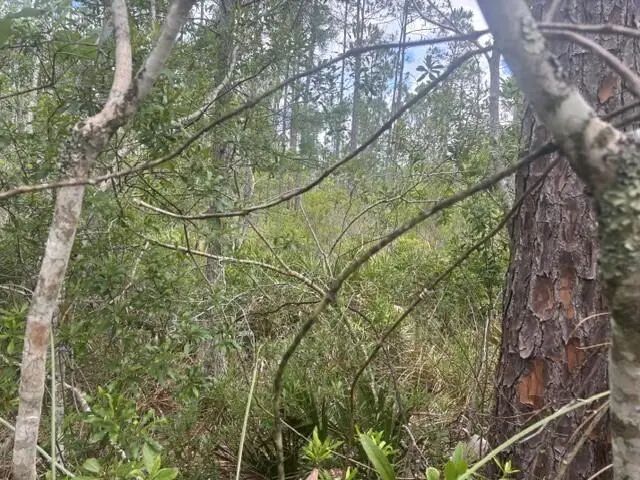 3 of 4 - 0 Water Road, Clermont, FL