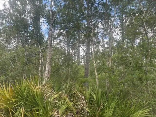 4 of 4 - 0 Water Road, Clermont, FL