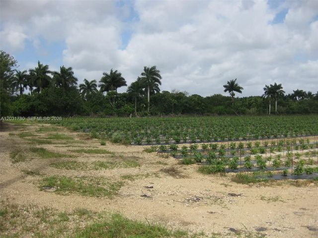 3 of 8 - 19922 Sw 304th Street, Homestead, FL