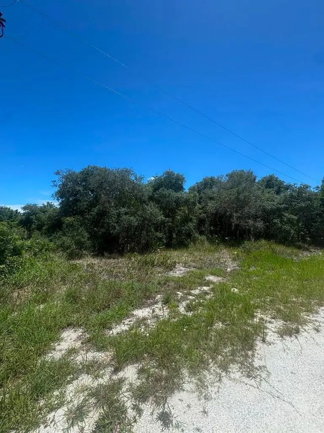 3 of 6 - 2530 N Todd Road, Avon Park, FL