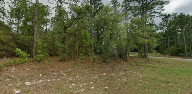 5 of 10 - 9239 N Marcus Way, Citrus Springs, FL
