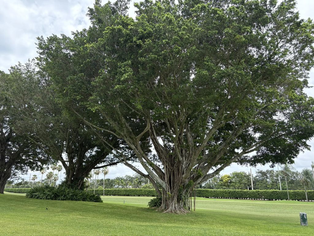 9820 S Hollybrook Lake Drive #110, Pembroke Pines