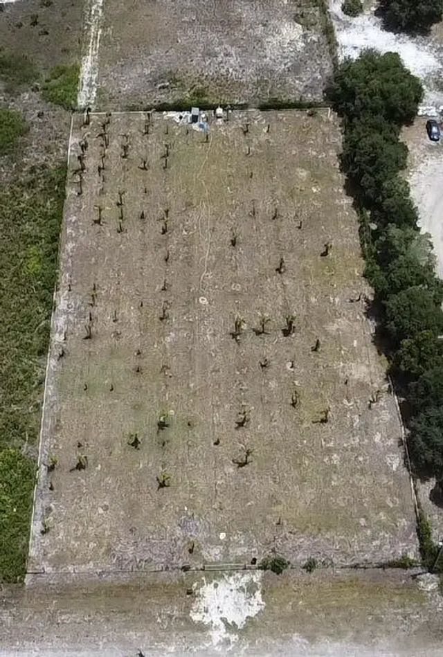 3 of 7 - 18282 Nw 306th  Street, Okeechobee, FL