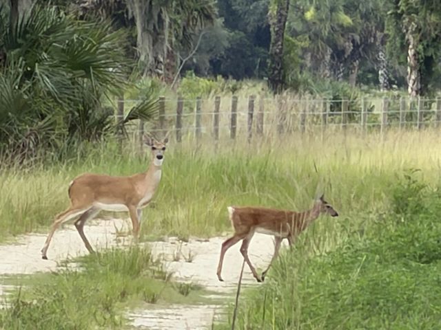 0 Co Rd 832, Clewiston