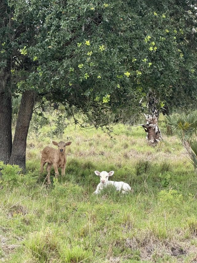 2 of 40 - 0 Co Rd 832, Clewiston, FL