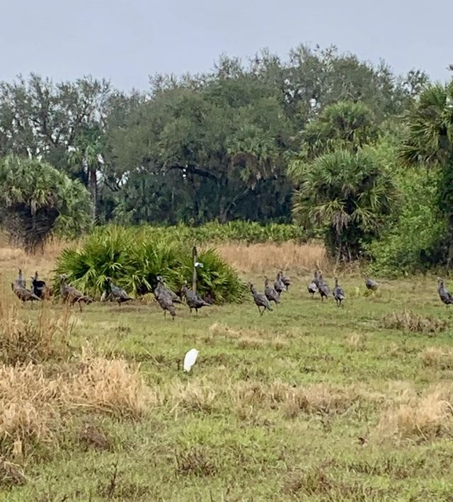 3 of 40 - 0 Co Rd 832, Clewiston, FL