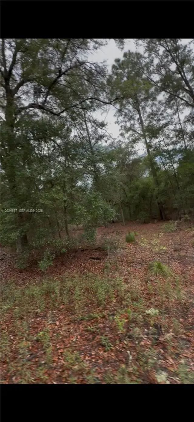 2 of 3 - 1699 Sw 153 Court, Ocala, FL
