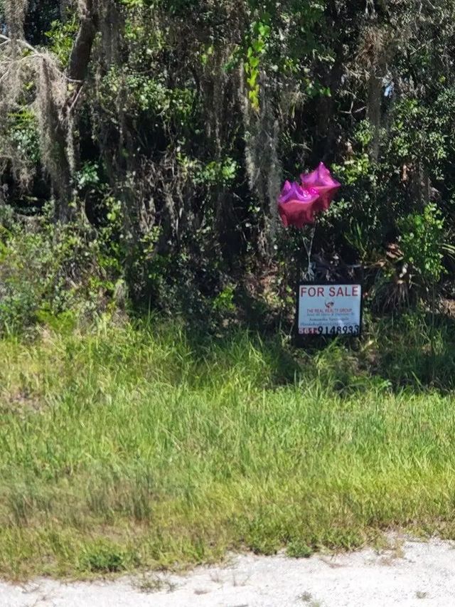 4 of 4 - 3249 Oriole Court, Lake Placid, FL