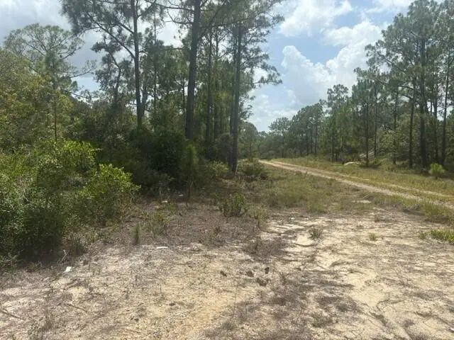 3 of 4 - 387 Marionette Avenue, Lake Placid, FL