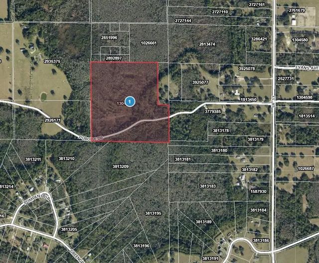 2 of 4 - Tbd Duboise Drive, Clermont, FL
