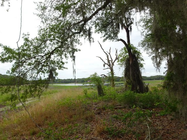 2208 Sw Shorewood Drive, Dunnellon
