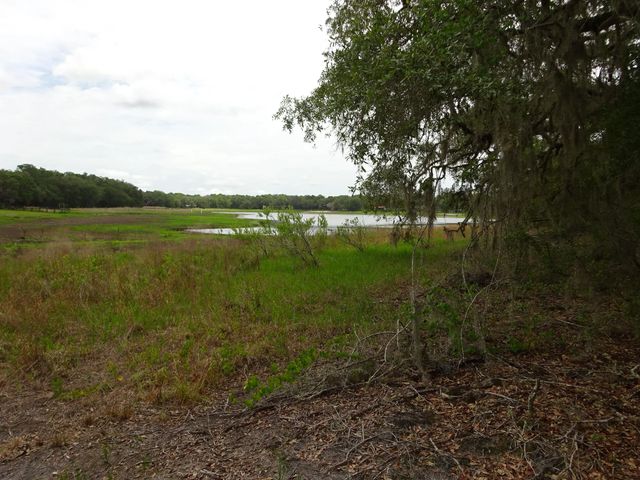 2 of 23 - 2208 Sw Shorewood Drive, Dunnellon, FL
