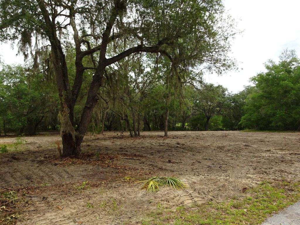 Lots 449,450,451,452,453 Sw Shorewood  Drive Sw, Dunnellon