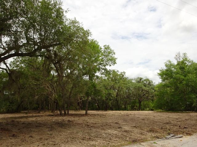 5 of 29 - Lots 449,450,451,452,453 Sw Shorewood  Drive Sw, Dunnellon, FL