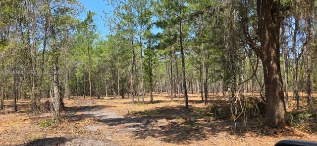 4 of 12 - Xx Se Xx 225th Drive, , FL
