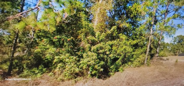 1023 Acacia Avenue, Lehigh Acres
