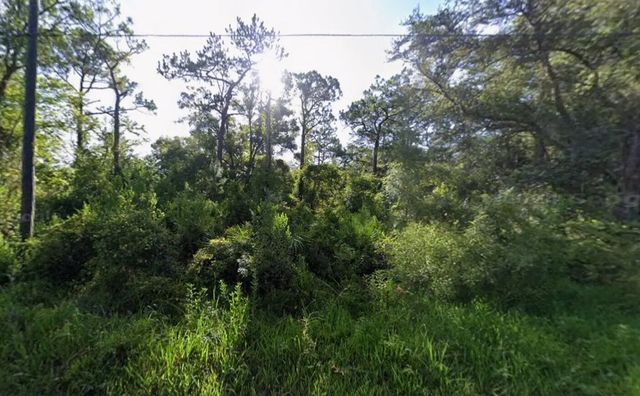 Tbd Atlee Street, New Port Richey