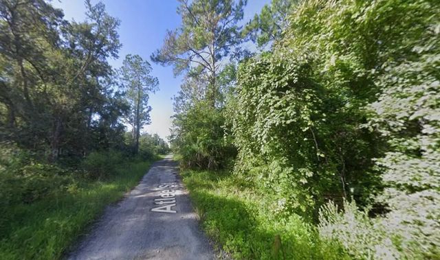 2 of 3 - Tbd Atlee Street, New Port Richey, FL