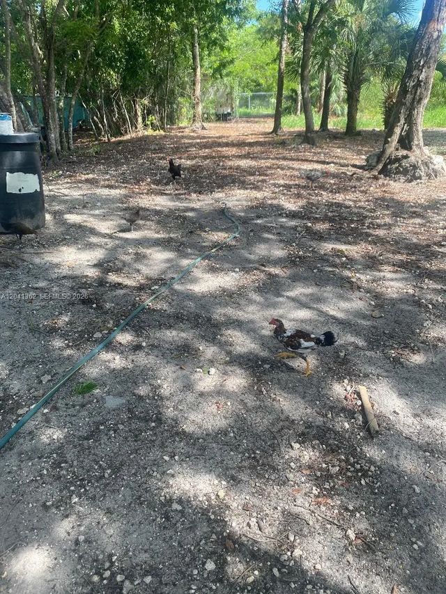 3 of 8 - 23625 Sw 125 Avenue, Homestead, FL