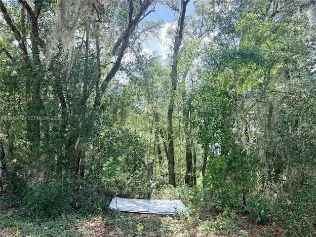 7932 N Elkcam Boulevard, Citrus Springs