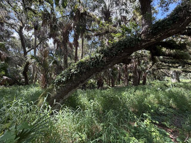 16477 Nw 192nd Street, Okeechobee