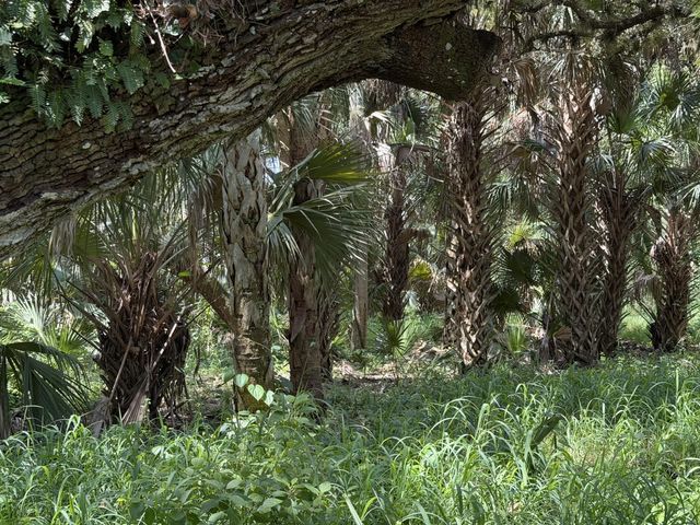 2 of 7 - 16477 Nw 192nd Street, Okeechobee, FL