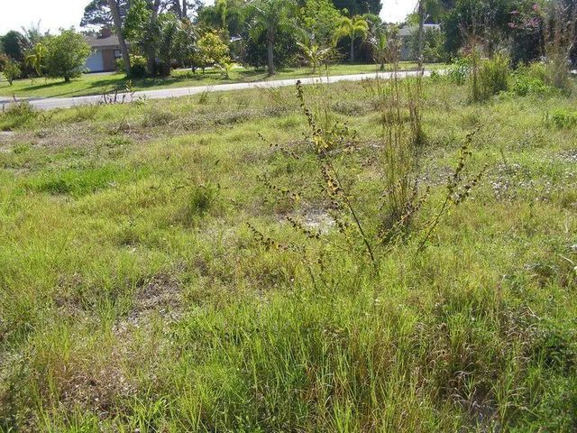 5 of 5 - 506 Ne Oleander Avenue, Port St. Lucie, FL
