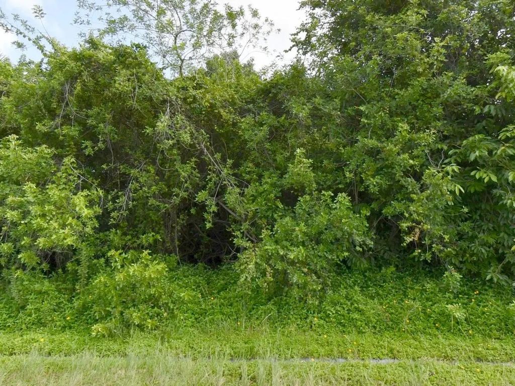 1081 Sw Dartmouth Avenue Sw, Port St. Lucie