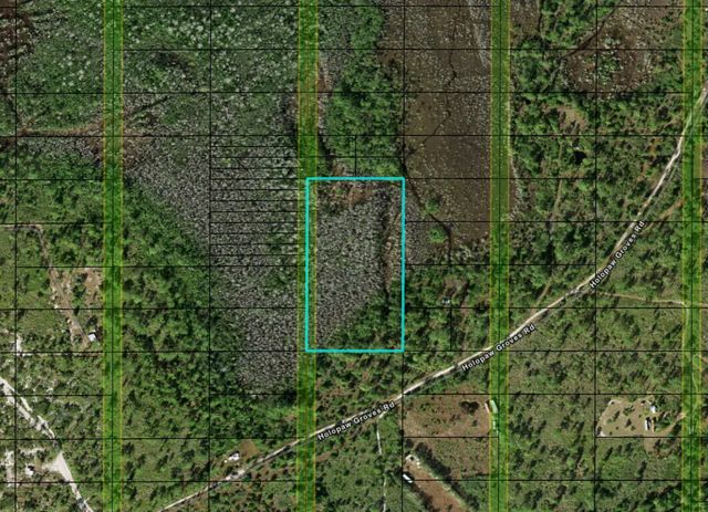 0 Holopaw Groves Road, St. Cloud