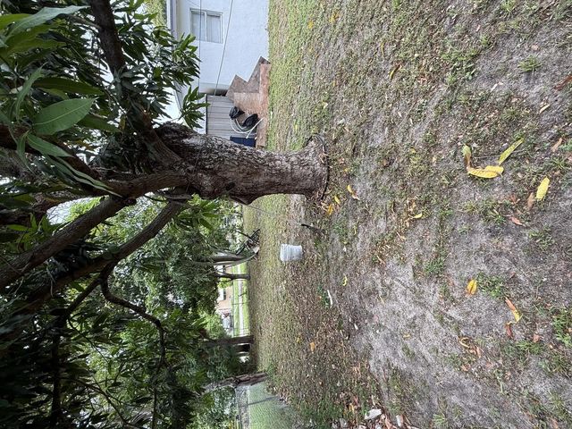 3 of 24 - 440 Tulip Tree Drive, Lake Worth, FL