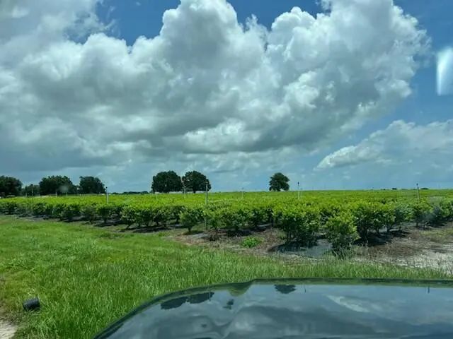 3 of 4 - 4450 Walker Lake Road, Winter Haven, FL