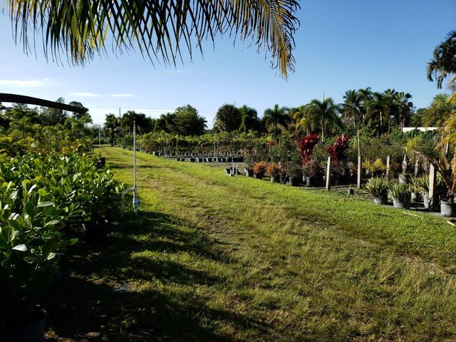 2 of 4 - 14375 Okeechobee Boulevard, Loxahatchee Groves, FL