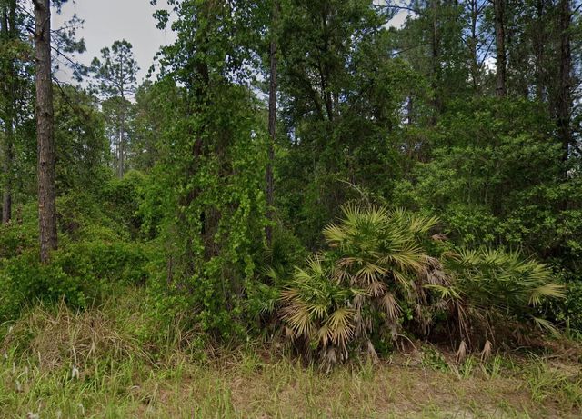 2 of 3 - 138 Pine Tree Drive, Palatka, FL