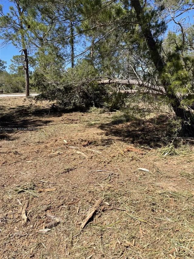 3 of 7 - 3206 Sr 66, Sebring, FL