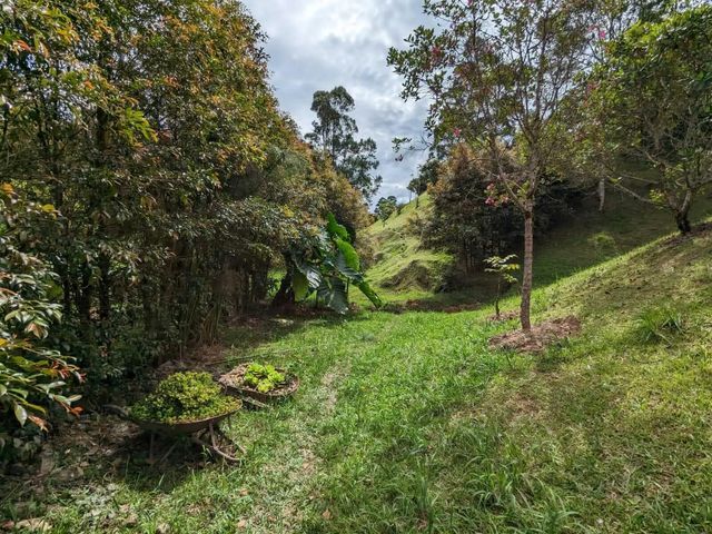 4 of 9 - 00000 Vereda Santa Ana, , 