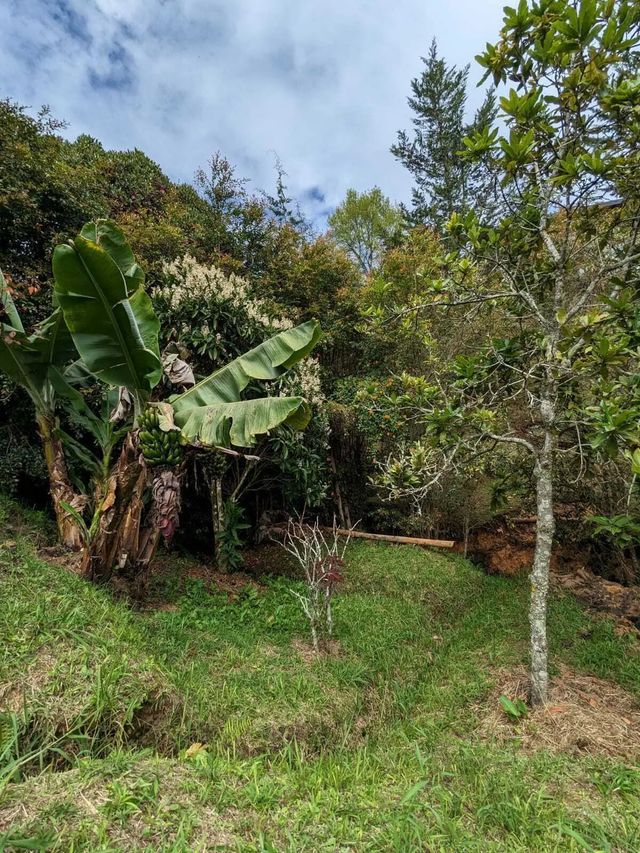 5 of 9 - 00000 Vereda Santa Ana, , 