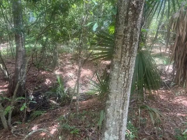 0 Ave O Avenue, Ormond Beach
