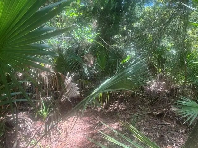 2 of 4 - 0 Ave O Avenue, Ormond Beach, FL