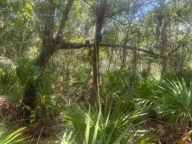 3 of 4 - 0 Ave O Avenue, Ormond Beach, FL
