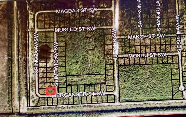 Merganser St Sw Merganser St Sw & Slimtwig Avenue, Palm Bay